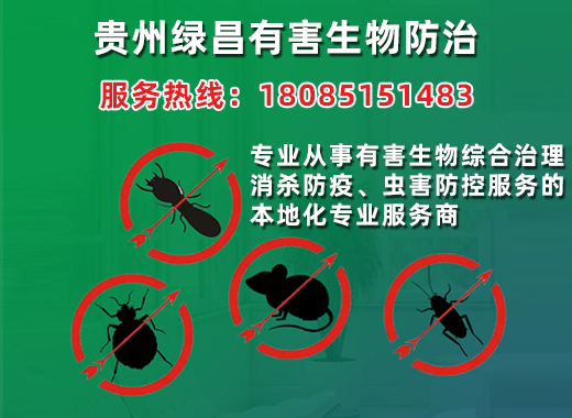 绿昌保定站